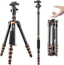 Load image into Gallery viewer, K&F Concept Carbon Fiber Tripod 60inch Lightweight Portable For DSLR Camera