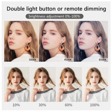 Load image into Gallery viewer, LED Fill Lamp Video Light Panel Bi-color 2700k-5700k Photography Lighting Live Stream Photo Studio Light With Stand EU Plug