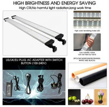 Load image into Gallery viewer, Travor light Box 40 60 80cm Portable Softbox With 3 Colors Background For Studio Photography