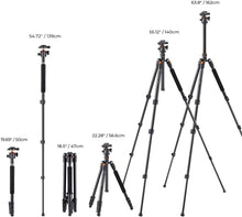 Load image into Gallery viewer, K&F Concept 64 inch Camera Tripod